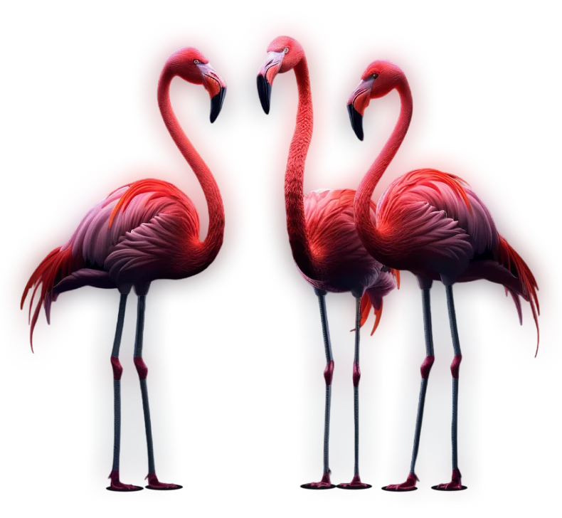 Image of a colorful beta fish