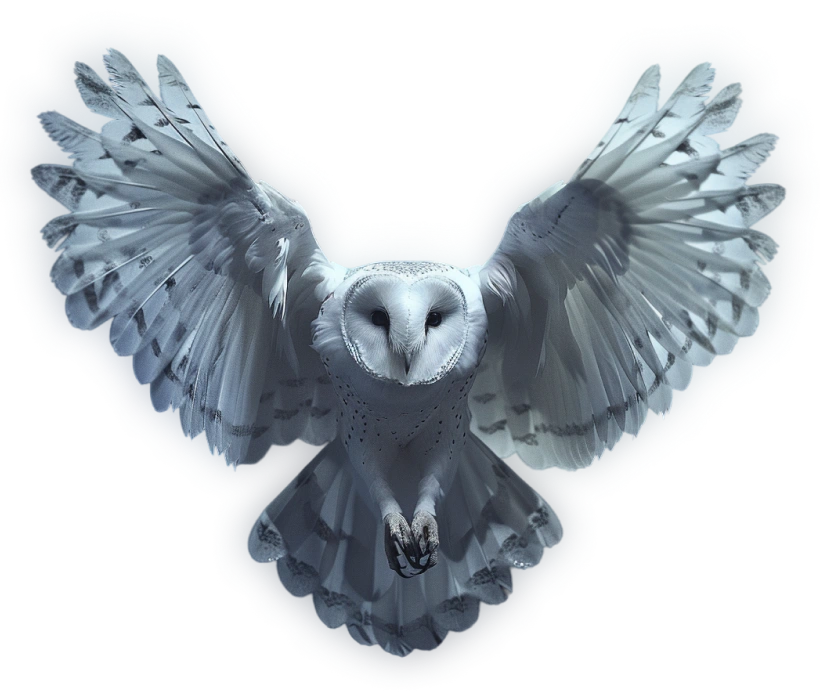Image of a white owl